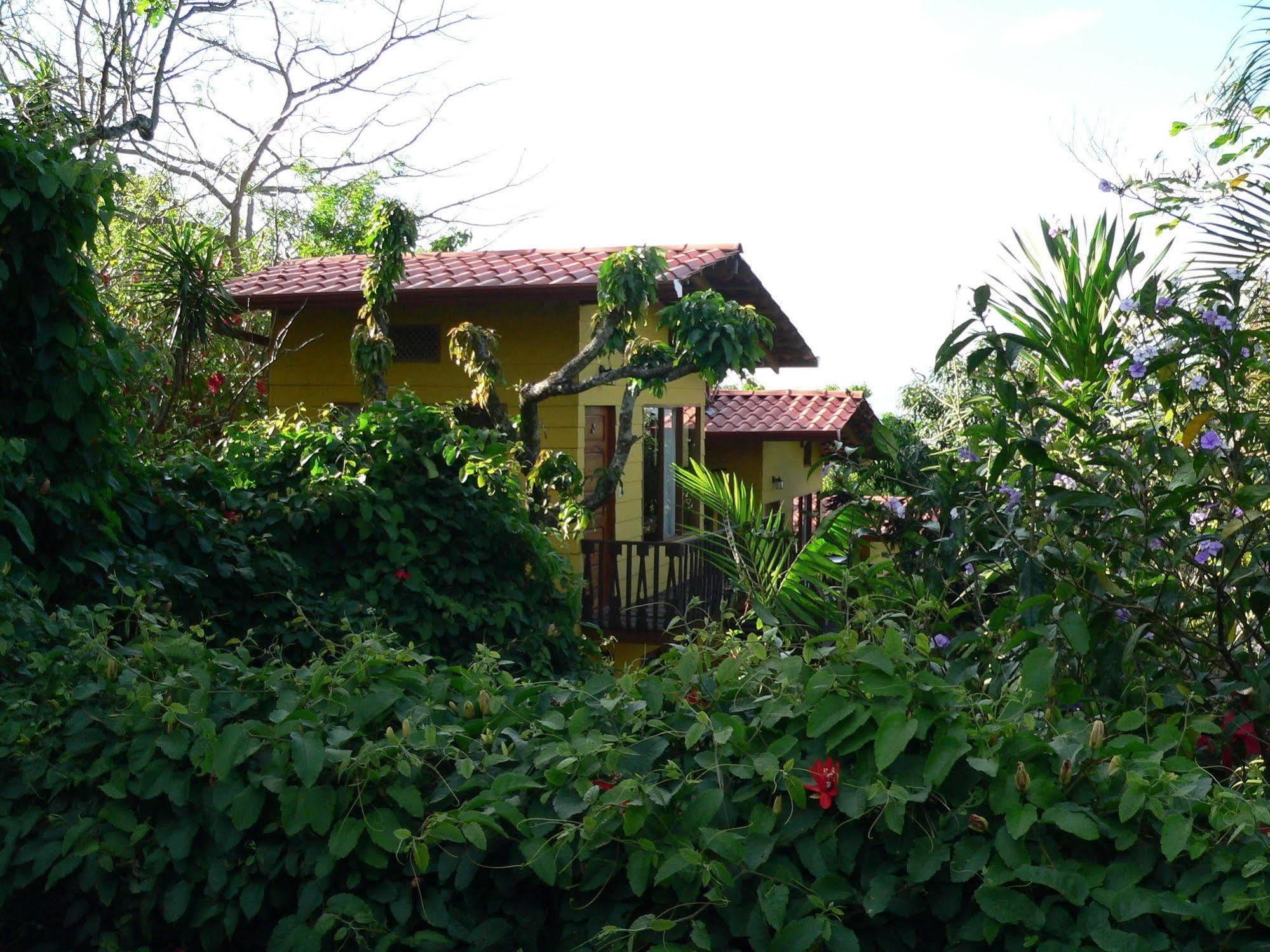 Hotel El Maranon Brasil المظهر الخارجي الصورة